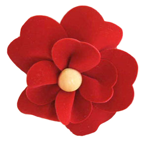 �R�X�v���E������