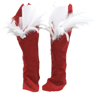 �R�X�v���E������