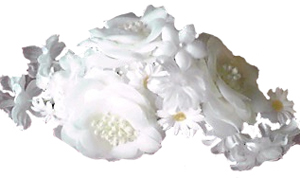 �ẴE�G�f�B���O�h���X