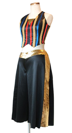 �o�[���X�N���̃R�X�`���[��